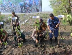 TNI bersama Polresta Deli Serdang dan Pemkab Deli Serdang Ikuti Vidcon Serta Laksanakan Penanaman Bibit Mangrove Serentak