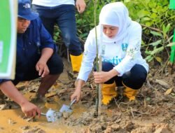 Gubernur Khofifah Dorong Hilirisasi dari Pengembangan Ekosistem Mangrove