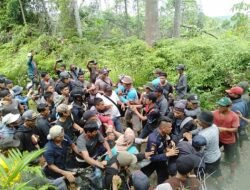 Kembali Terjadi di Mukomuko, PT Menjarah Sawit di Lahan Petani