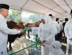 Gubernur Jatim Khofifah Indar Parawansa Sholat Idul Adha di Masjid Al Akbar Surabaya