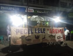 Nikmati PECEL LELE “AREMA” Jalan Salak Panorama