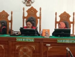 Hakim Ketua dan 2 Hakim Anggota Tak Sependapat, Dr T. Gita Dihukum 6 Percobaan