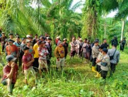 PETANI MAJU BERSAMA PANGGIL MENKOPOLHUKAM