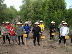 Polda Sumut melakukan Penanaman Pohon Magrove