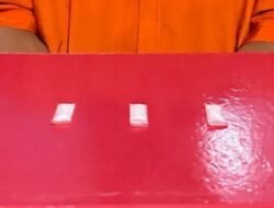 Kedapatan Miliki Narkoba, Seorang Pelaku Tidak Berkutik Saat Diciduk Polisi