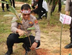 Forkopimda Kota Sibolga Ikut Penanaman 1000 Pohon Serentak Di Bukit Panomboman Sibolga