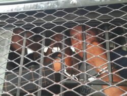 Konflik Masyarakat dengan PT DDP memakan korban, 3 Petani Dibui Atas Tuduhan Penganiayaan