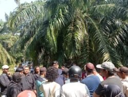Akhirnya 2 Security PT DDP Diduga Penganiaya Petani ditahan