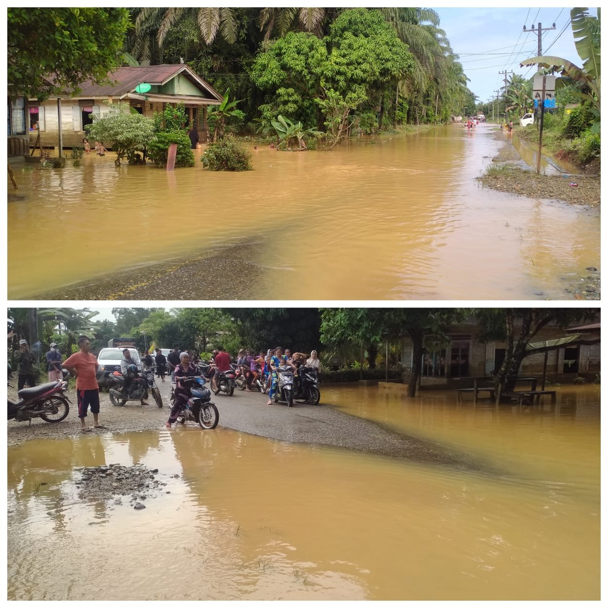 Banjir Di Madina Genangi Jalan Lintas Sumatra Darah Juang Online