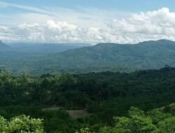 Hutan Lindung Seluma Turun Status APL, Karpet Merah Investor Emas