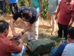 998 Pelaku Narkoba ditangkap, Polda Sumut Komitmen berantas Narkotika