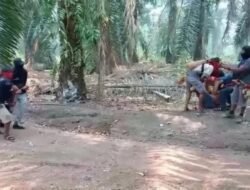 Literasi Moderat Bengkulu: Selesaikan Segera Konflik Kalimantan Tengah