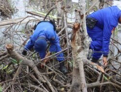 Polda Sumut dan Pemprov Tanam 10 Ribu Pohon Mangrove di Pesisir Langkat