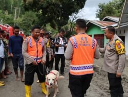 Polda Sumut Turunkan Anjing Pelacak Bantu Pencarian Korban Longsor di Humbahas