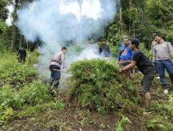 1.472 Perkara Narkoba Selama Perburuan Polda Sumut Telah P21