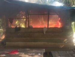 Memanas, puluhan pondok petani dibakar pakai Bom Molotov oleh oknum PT. DDP