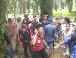 Petani Tanjung Sakti Gagalkan Upaya Perusakan Pondok oleh Oknum Petugas PT DDP