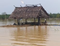 Miris, akibat banjir besar hasil panen Petani di Bondakase hanyut