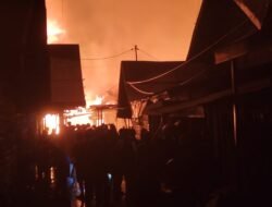 Geger!!! Jago Merah Mengamuk Di Kawasan Puntun City