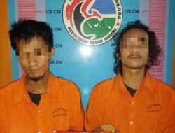 Polres Madina kembali ringkus pengedar sabu di Sinunukan