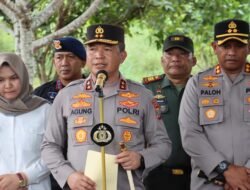 Polda Sumut Temukan Ladang Ganja Seluas 5 Hektar