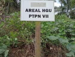 Hadapi Konflik Wilayah Adat, AMAN Tana Serawai Pilih Calon Ketua Baru