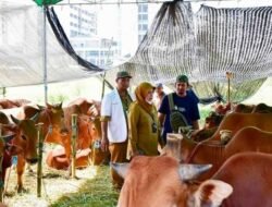 Pemkot Surabaya Lakukan Pengecekan Hewan Kurban, Pastikan Kesehatan dan Miliki Rekomendasi DKPP