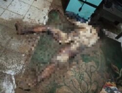 Mayat Membusuk Di Rumah Kontrakan Gegerkan Warga Kasturi Landasan Ulin