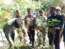 Polsek Banjarbaru Utara Laksnakan Giat Pemusnahan Pohon Kecubung