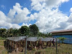 4 PLTS di Bengkulu terbengkalai, fakta bahwa keberpihakan negara terhadap sumber energi bersih lemah