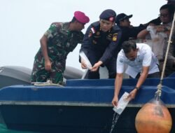 Lagi, Bea Cukai Gagalkan Penyelundupan 275.000 Benih Lobster Tujuan Malaysia