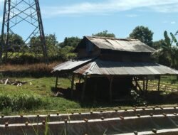 Bahaya Jaringan Transmisi SUTT PLTU Teluk Sepang Bengkulu!!!