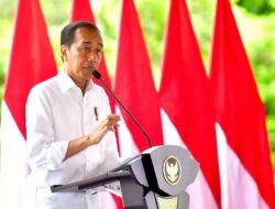 Apresiasi untuk Kebebasan Pilot Susi Air, Presiden Jokowi Sampaikan ini