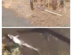 Warga Resah Aliran Sungai terdampak Limbah Di Duga Dari Galian Bekas Tambang Batu Bara