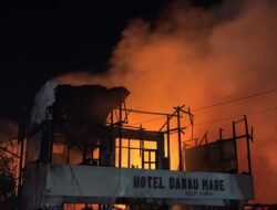 Si Jago Merah Mengamuk Di Kota  Kuala Kapuas Kalteng