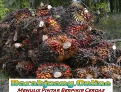 Berdirinya PMKS PT. HKI di Desa Balimbing berdampak positif bagi masyarakat 