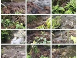 Warga Resah, Dugaan  Limbah Tankos Dari PTPN IV Pasir Mandonge Kotori Parit Warga