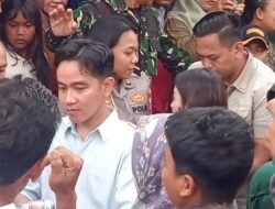 Camat Medan Tembung bersama Lurah Bantan sambut Wapres RI Gibran