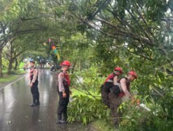 Respon Cepat Sat Samapta Polres Batola  Bersihkan Pohon Tumbang DiJalan Jend Sudirman
