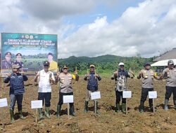 Kapolda Kalsel Tanam Rumput Gajah Dalam Acara Sinergitas Kegiatan Ketahanan Pangan Di Kabupaten Tala
