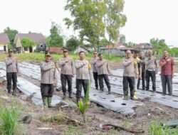 Kapolresta Palangka Raya Dukung Ketahanan Pangan Dengan Salurkan Ribuan Bibit Jagung