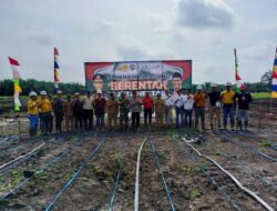 Babinsa Koramil 1015-10/Telaga Pulang, Dukung Penuh Program Ketahanan Pangan