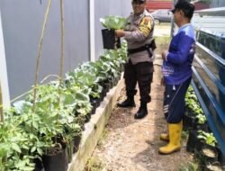 Dukung Ketahanan Pangan, Polsek Batam Kota Ubah Lahan Tidur Jadi Kebun Pangan