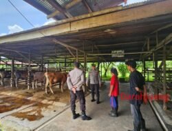 Kanitbinmas Polsek Bukit Batu Sambangi Peternakan Sapi Warga  