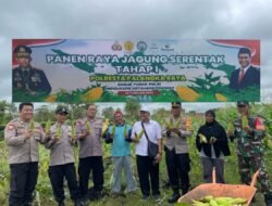 Kapolsek Sabangau Sukseskan Panen Raya Jagung Serentak Tahap I di Kalampangan