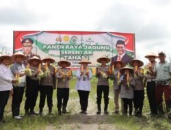 Polres Kotim Sukses Panen Jagung Tahap Pertama, Siap Lanjutkan Penanaman Tahap Kedua