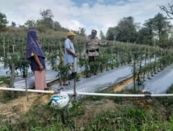Wujudkan Ketahanan Pangan, Polsek Sungai Beduk Produktifkan Lahan Tidur