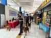 Satgas Preventif Polri Jaga Keamanan dan Jadi Daya Tarik Masyarakat Saat Libur Lebaran