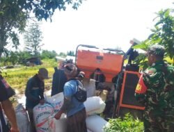 Kodim 1015/Sampit Kawal Sergab, Pastikan Petani Jual Gabah Ke Bulog