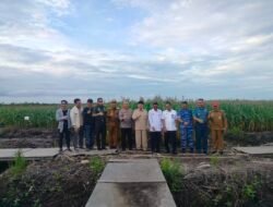 Kapolda Kalsel Kunjungi Kebun Jagung, Gubernur Kalsel Apresiasi Keberhasilan penanaman Di lahan Gambut